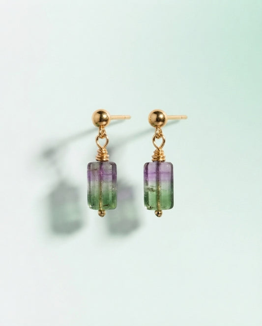 Bicolor Tumble Earrings