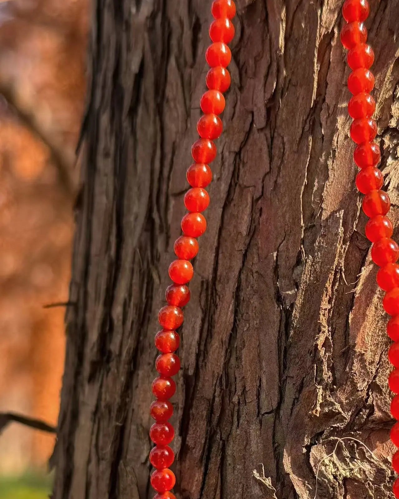 Red Agate small beaded Necklace Wander + Pray